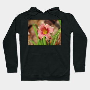 Lily Beauty Hoodie